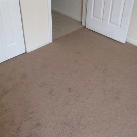 Flooring 11